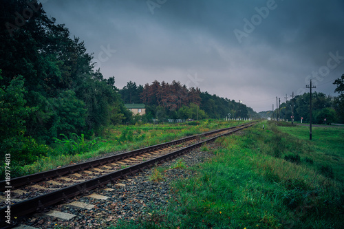 Railroad and forest
