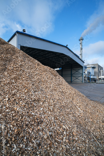 Storage of wood chips