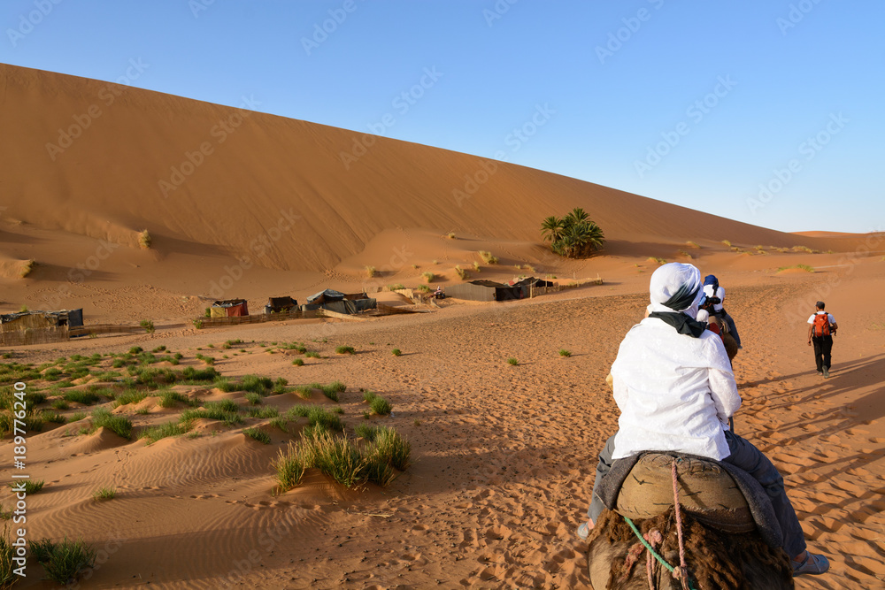 Wydmy Erg Chebbi. Sahara