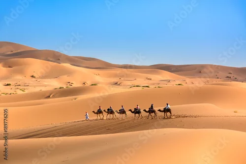 Obraz Karawana na pustynii Sahara, Wydmy Erg Chebbi.
