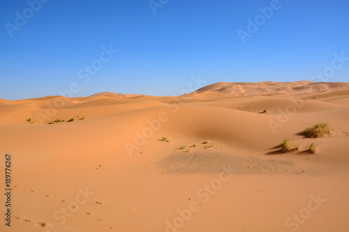 Wydmy Erg Chebbi. Sahara © TOP67