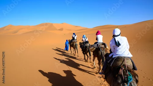 Fototapeta samoprzylepna Karawana na pustynii Sahara, Wydmy Erg Chebbi.