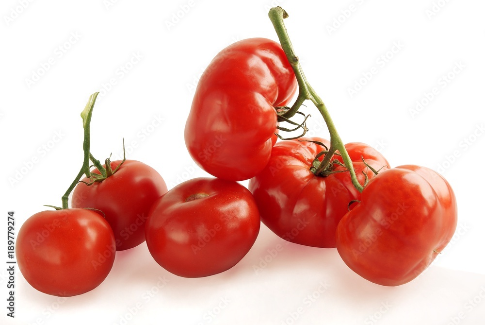 tomatoes as tasty vegetable tomatoes as tasty vegetable