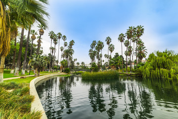 Wandcirkels Los Angeles Echo Park meer met fontein  © Gabriele Maltinti