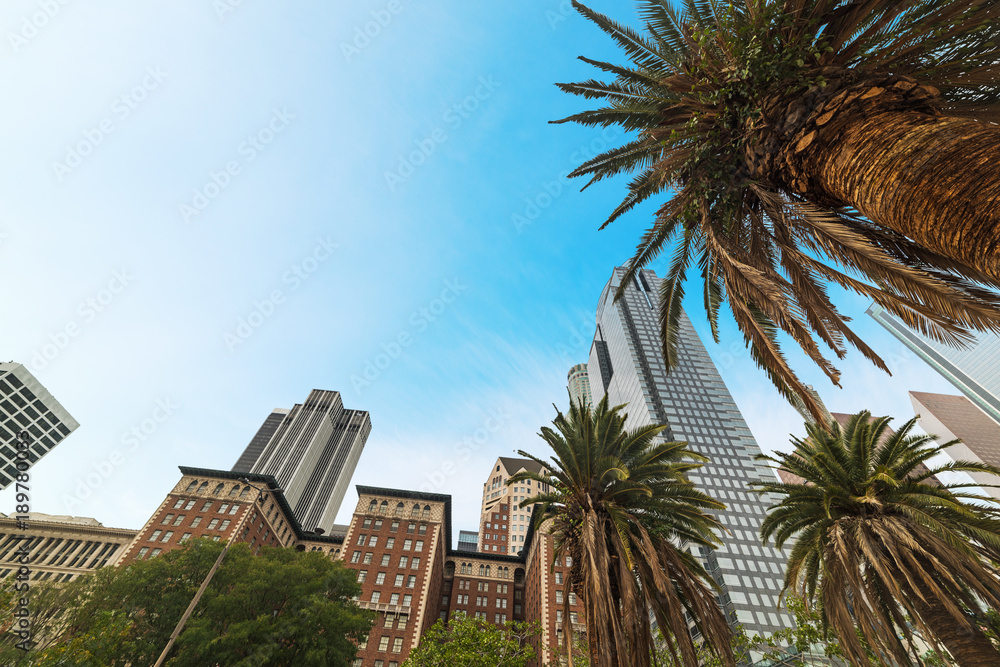 Palm trees and skyscrapers in downtown Los Angeles