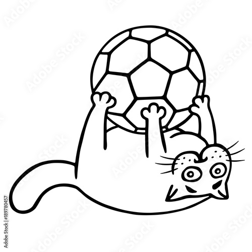 Fat cat is caught a soccer ball. Isolated vector illustration.
