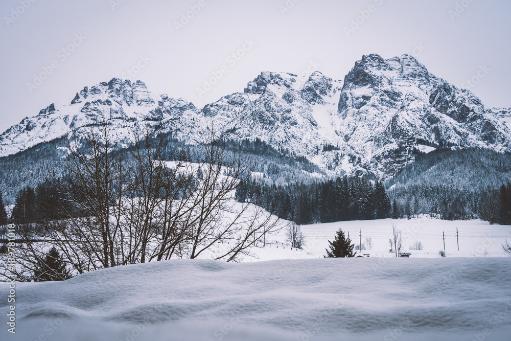 Winterlandschaft - Verschneiter Berg mit Wald