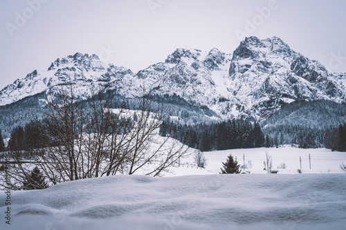 Winterlandschaft - Verschneiter Berg mit Wald