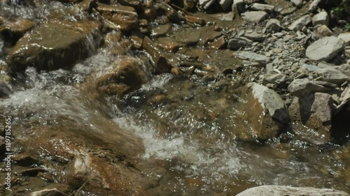 Mountain spring  photo