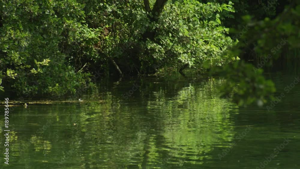 Springs in St. Naum, Ohrid lake Springs in St. Naum, Ohrid lake