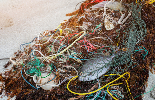 Death fish on the beach with plastic garbage