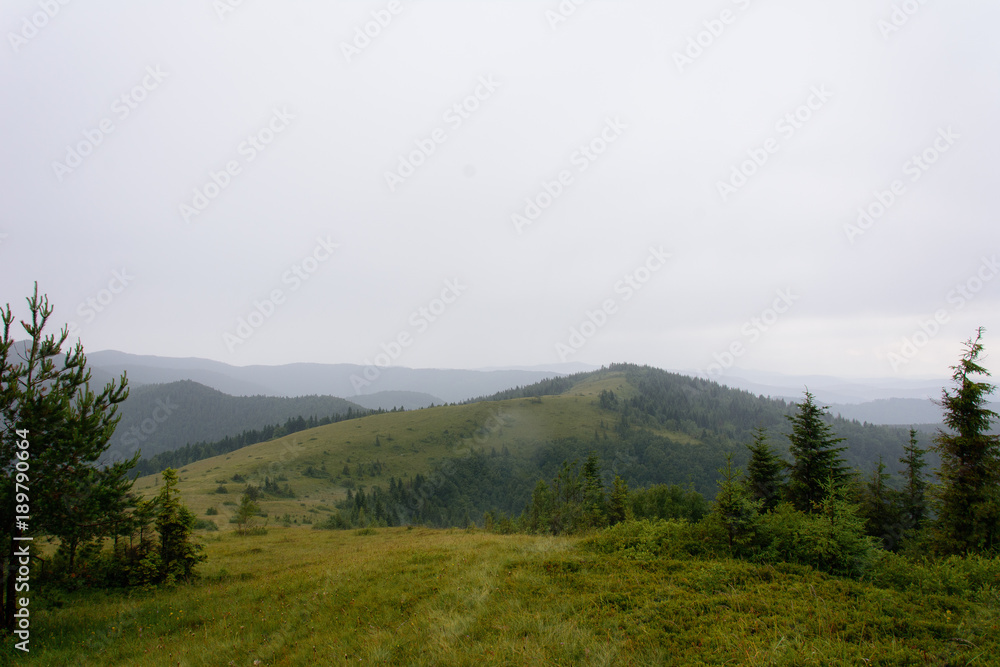 The foggy summit of Yavorinka in the Ukrainian mountains of the Carpathians The foggy summit of Yavorinka in the Ukrainian mountains of the Carpathians