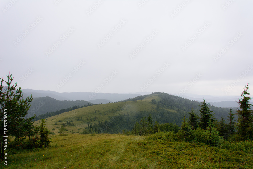 The foggy summit of Yavorinka in the Ukrainian mountains of the Carpathians