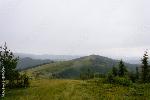 The foggy summit of Yavorinka in the Ukrainian mountains of the Carpathians