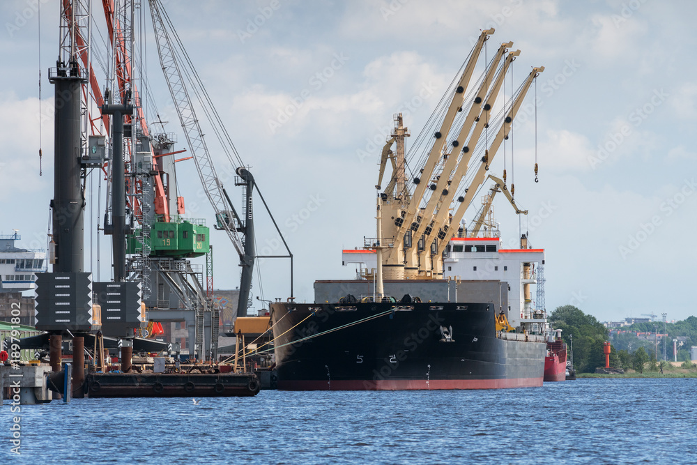 Fototapeta premium Cranes in marine terminal