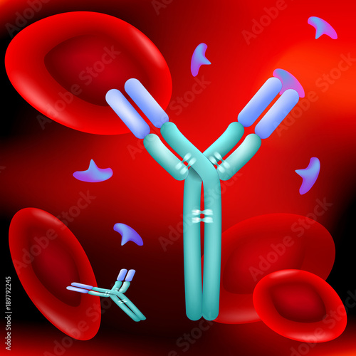 Antibody molecule, Antigen and red blood cells in blood flow