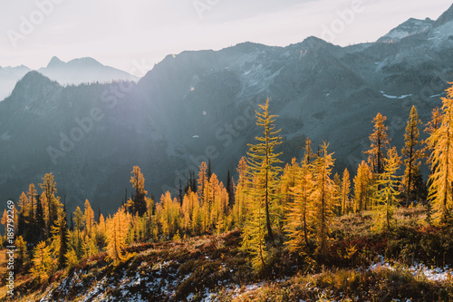 sunrise over mountains, lakes and larch trees