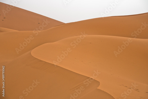 Sand dunes in Erg Chebbi before sunrise  Sahara desert  Morocco  Africa