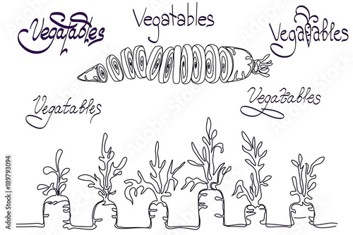 Set with  images of carrot made in minimalism and several variants of text