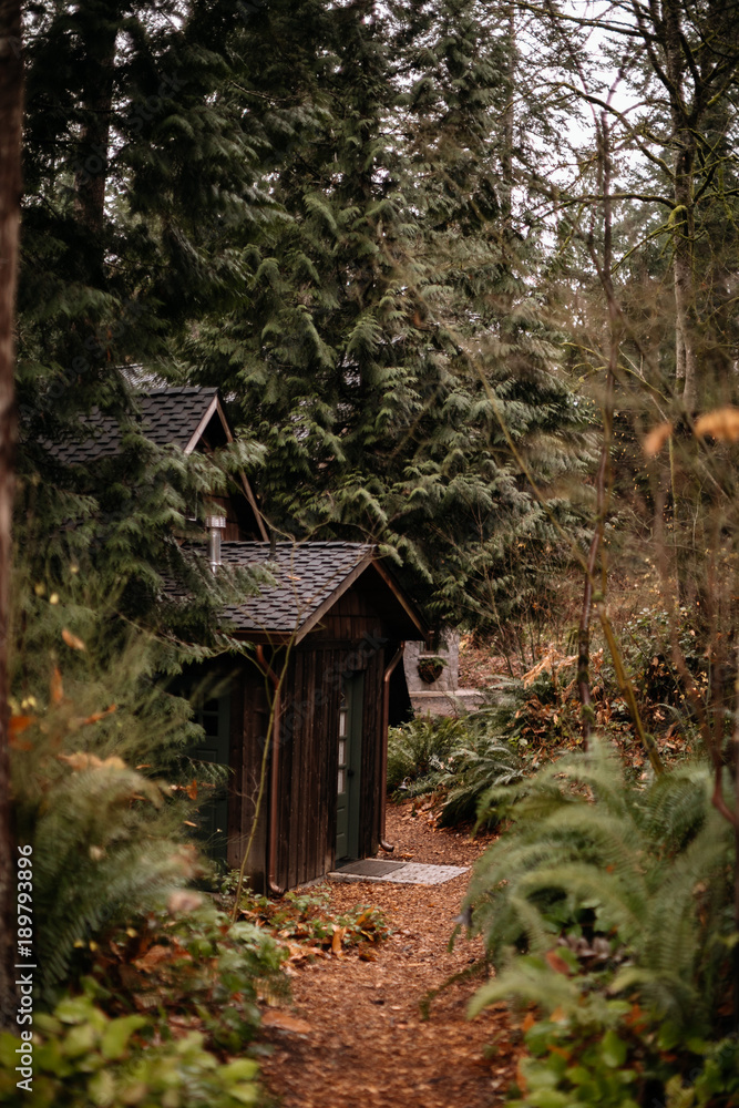 cabin through the woods