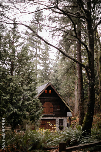 small house through the woods © JTobiason