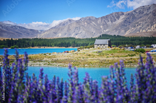 View of Church of the Good Shepherd and Lake Tekapo in New Zealand. Purple lupin flower in the foreground.