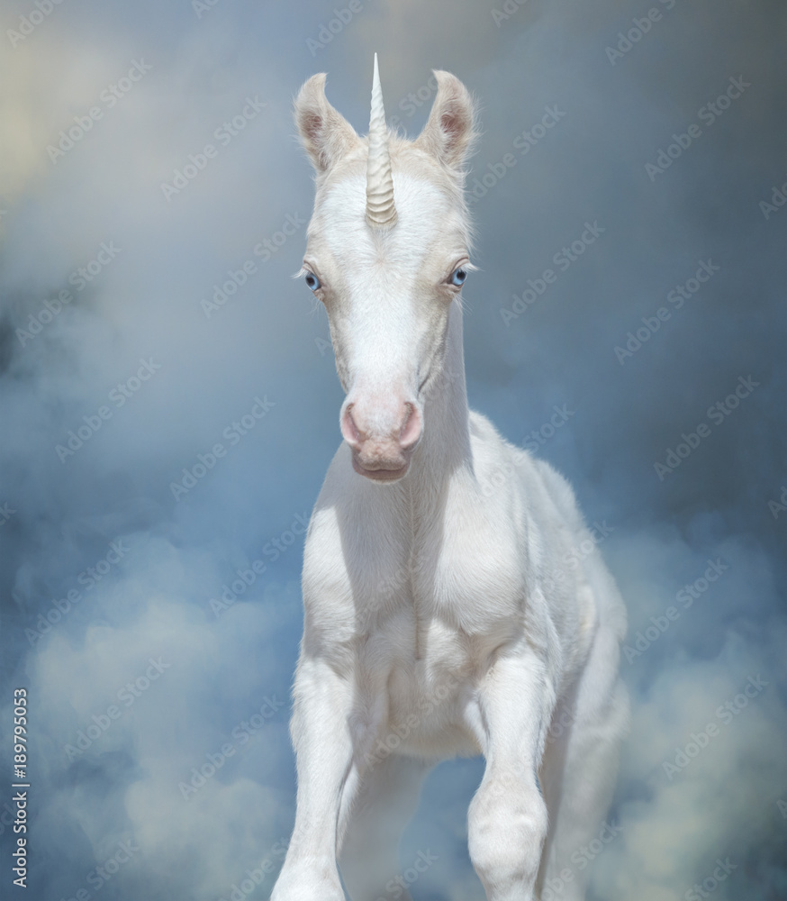 Newborn Unicorn with blue eyes running through magical blue smoke.