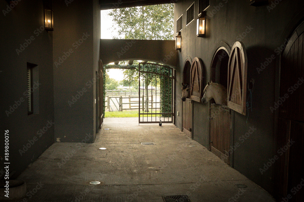 Horse stables