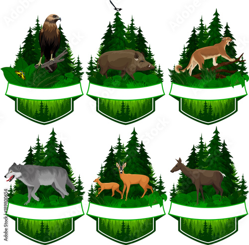 set of vector woodland emblems with eagle, wolf, puma, deer and hog boar