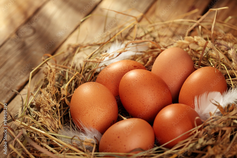Chicken eggs in the nest. On wooden rustic background.Copy space Chicken eggs in the nest. On wooden rustic background.Copy space
