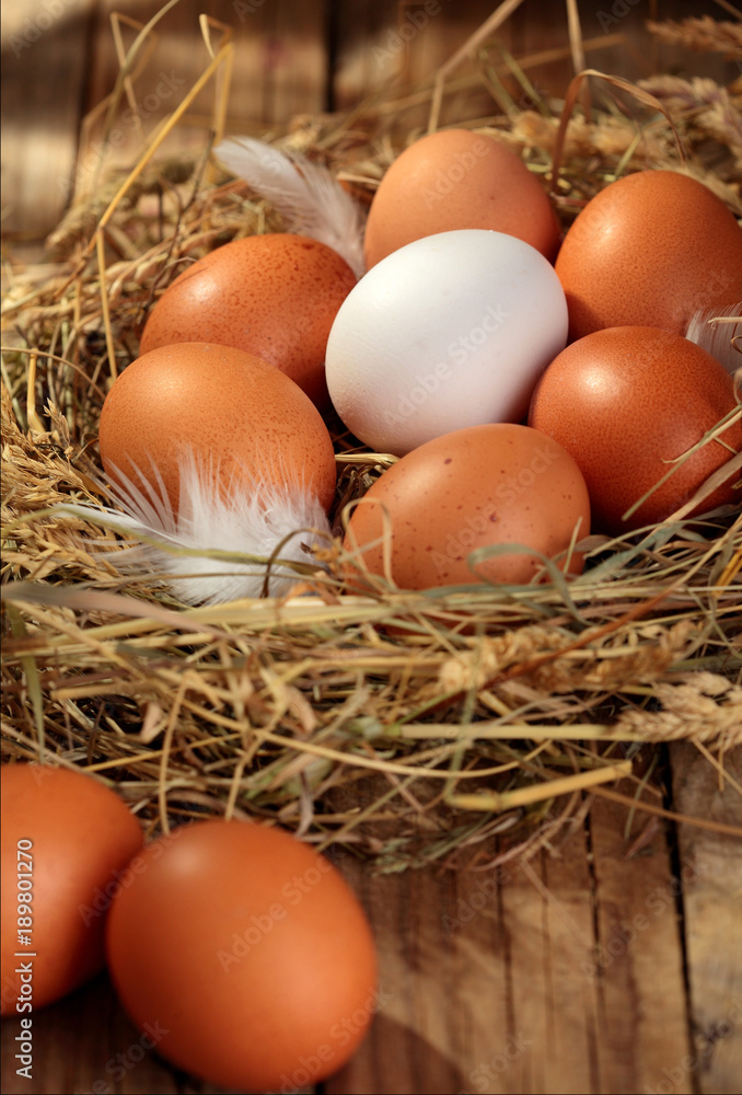 Chicken eggs in the nest. On wooden rustic background.Copy space Chicken eggs in the nest. On wooden rustic background.Copy space