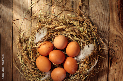 Chicken eggs in the nest. On wooden rustic background.Copy space photo