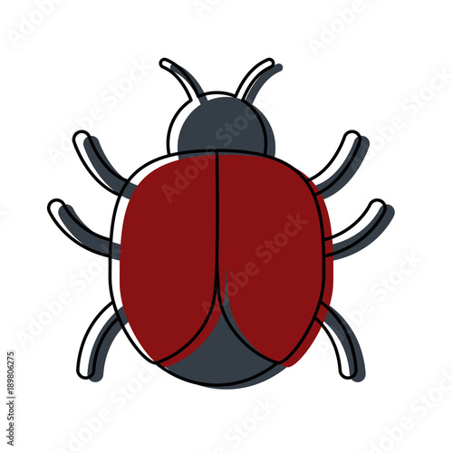 bug icon image