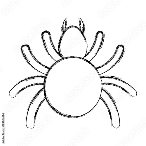 tick insect icon