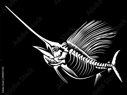 Sail fish skeleton isoated on black