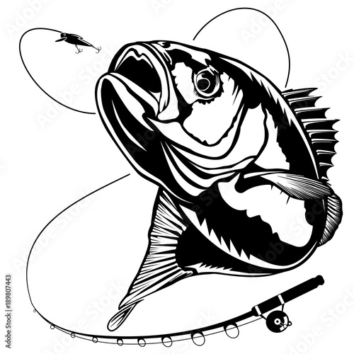 New bass fishing with rod