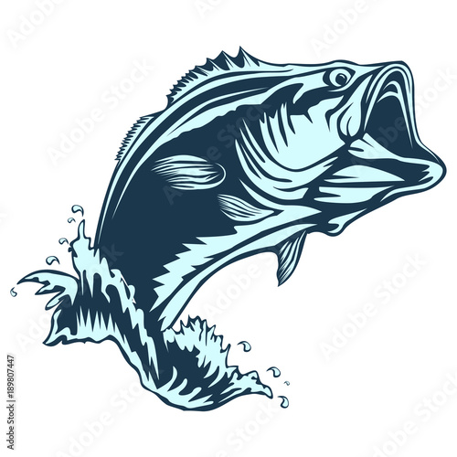Perch fish detailed isolated blue