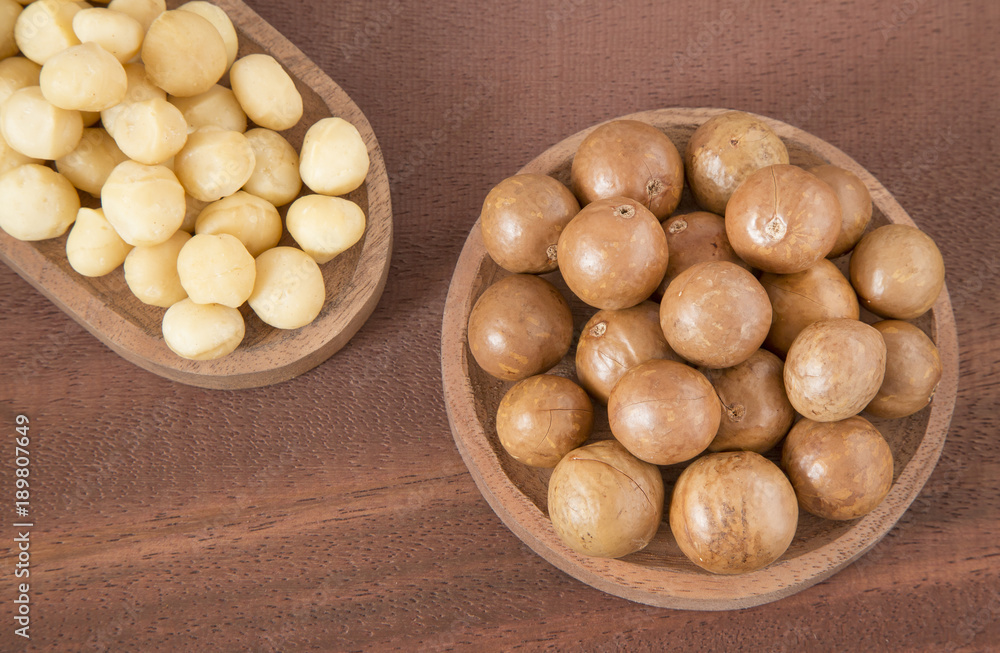 Macadamia nuts (Macadamia integrifolia) Macadamia nuts (Macadamia integrifolia)