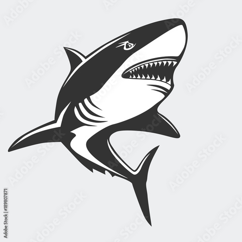 Shark emblem isolated on white