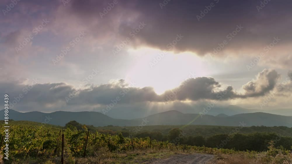 Beautiful Vineyards Timelapse Beautiful Vineyards Timelapse