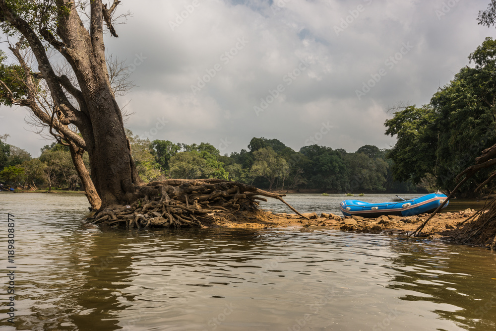 Coorg, India - October 29, 2013: View on Kaveri River across from Dubare Elephant Camp. Blue dinghy left on dirt of islet in the river. Cloudscape and uprooted tree. Coorg, India - October 29, 2013: View on Kaveri River across from Dubare Elephant Camp. Blue dinghy left on dirt of islet in the river. Cloudscape and uprooted tree.