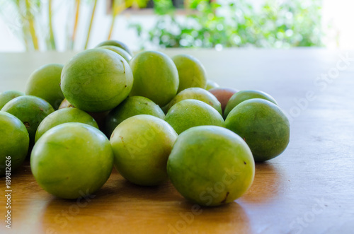 Spondias tuberosa - Brazilian seasonal fruit called Umbu or Imbu. Brazil plum. Regional fruit. Nordeste.