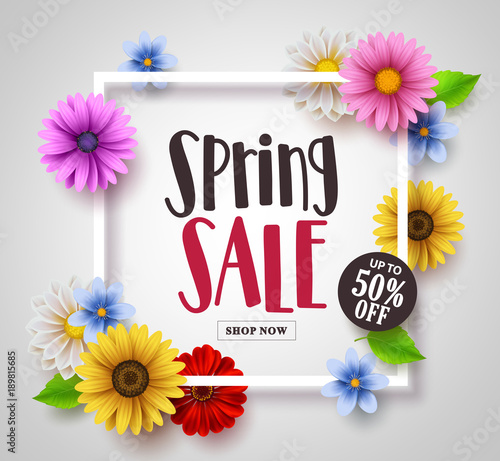 Spring sale vector banner design with colorful daisy, sunflower and floral elements and a frame in white background for spring seasonal discound promotion. Vector illustration. 