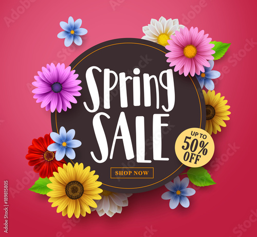 Spring sale vector banner design with sale text, colorful daisy and sunflower elements in red floral background for spring seasonal discount promotion. Vector illustration.
