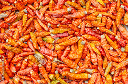 dried chilli backgrounds