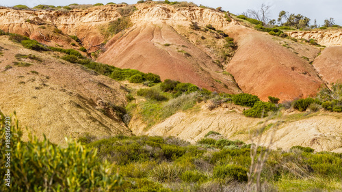 beautiful geological features of Hallet Cove Conservation Park  South Australia. Colorful sand dune caused by erosion