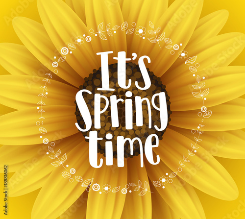 It's spring time vector banner design with typography text and flower elements in yellow sunflower background for spring season greetings. Vector illustration.
