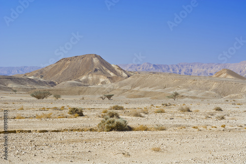 Loneliness and emptiness of the desert