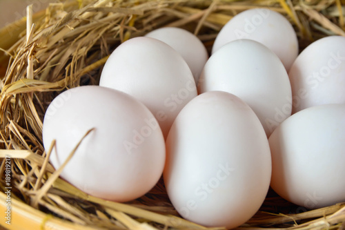 Group of duck eggs on straw.