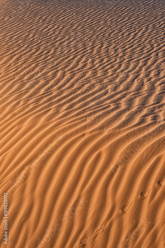 Arixona Desert
